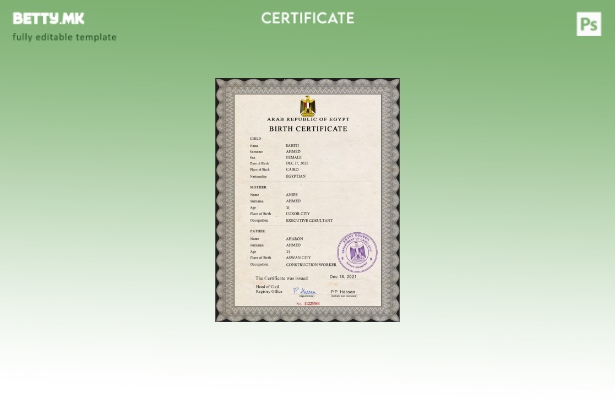 модерен стил Египет од витално значење евиденција извод од матична книга на ро